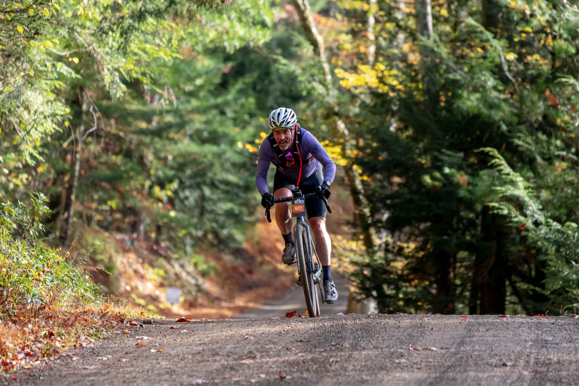 Ripping through the Hollows.
